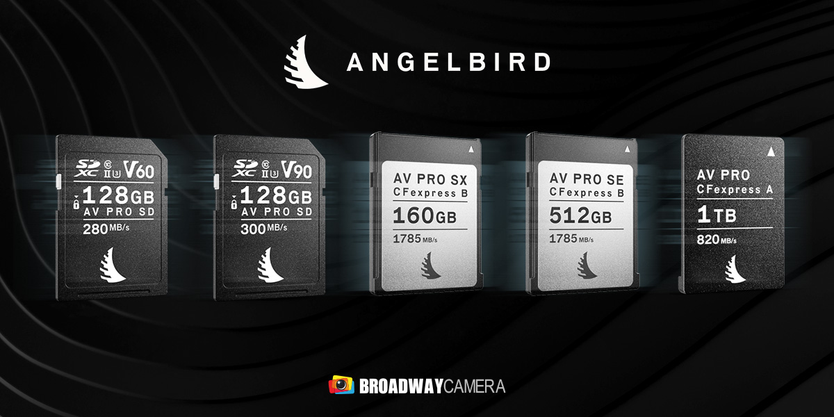 angel-bird-1200x600.jpg