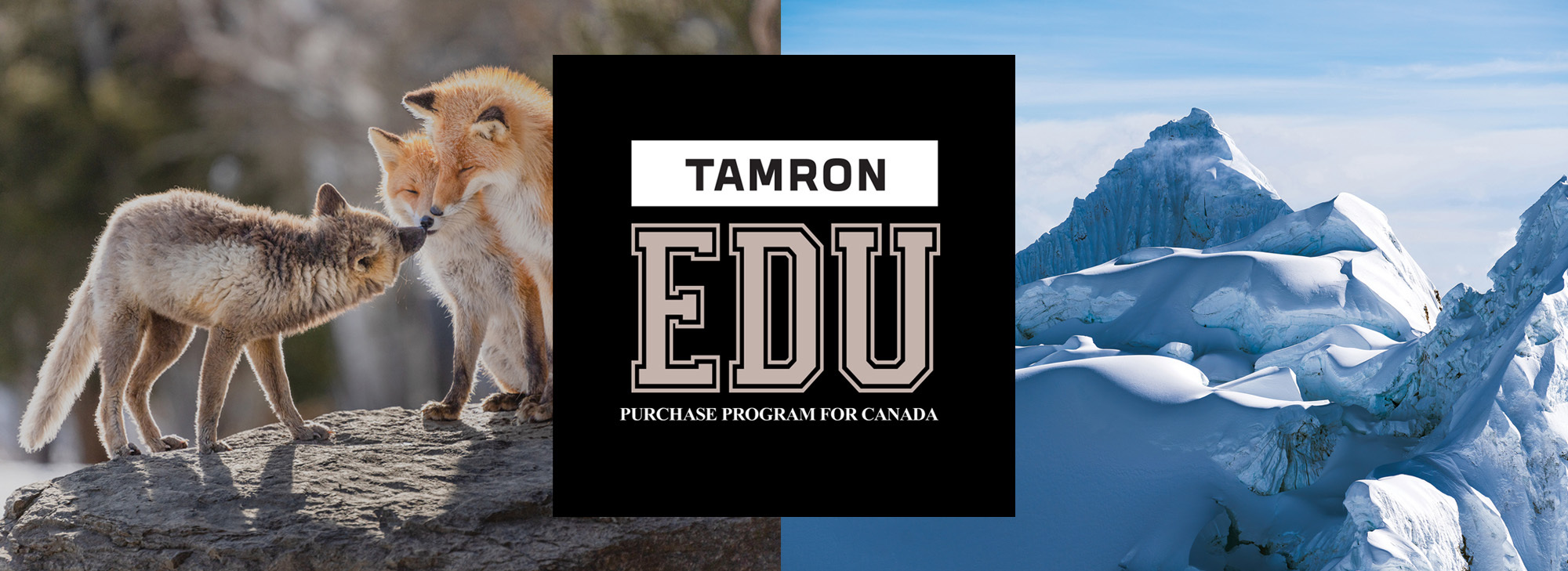 tamron-education-banner-eng.jpg