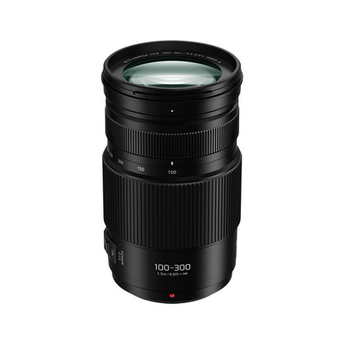 Panasonic LUMIX G VARIO 100-300F4.0-5.6 | nate-hospital.com