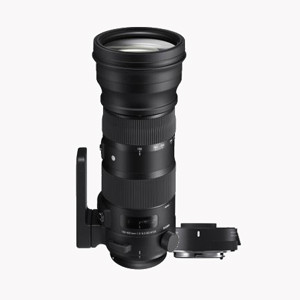 Sigma 150-600mm F5-6.3 Sport & TC-1401 1.4X Teleconverter Bundle Nikon