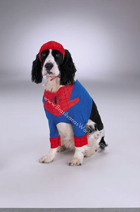 Pet Costume Spiderman