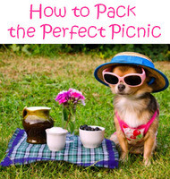Summer Staple: How to Pack for a Picnic