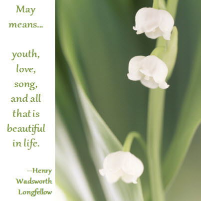 What's So Special About May - May Fun Facts