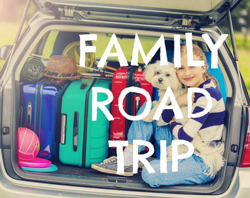 Road Trip Games for the Family - Suburban Wife, City Life