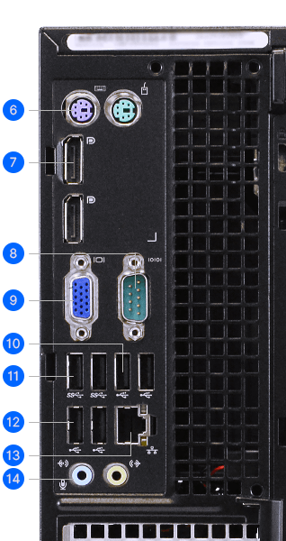 Rear Ports