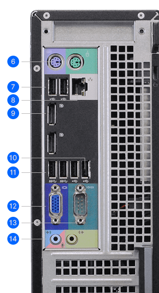 Rear Ports