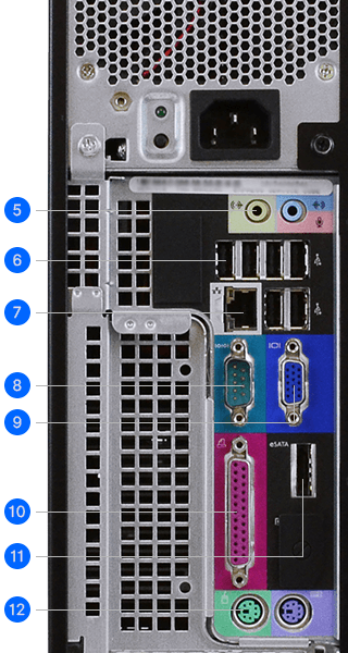 Rear Ports