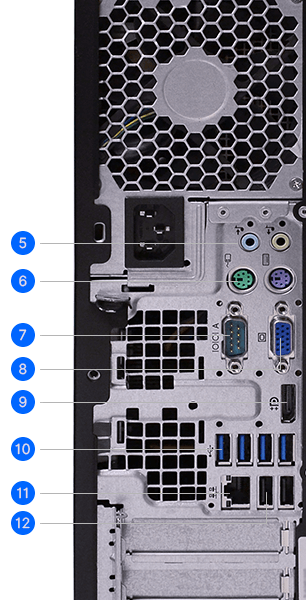 Rear Ports