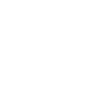 Lightning Bolt