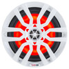 DS18 NXL6 HYDRO 6.5" 2-WAY MARINE SPEAKERS WITH INTEGRATED RGB LED LIGHTS 300 WATTS (PAIR)
