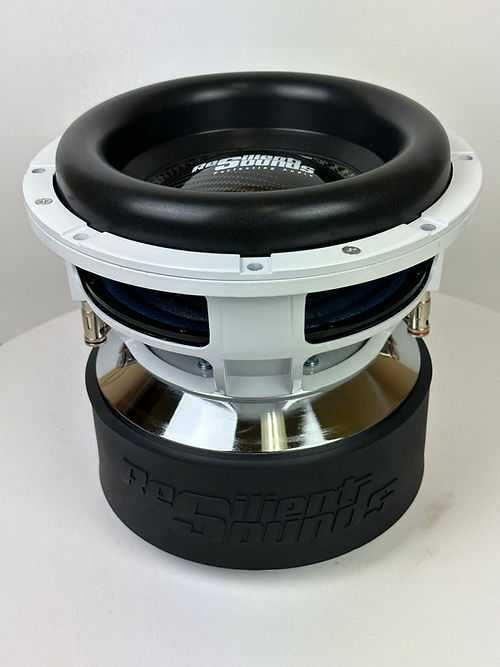 Resilient Sounds Platinum 10 V2 Subwoofers