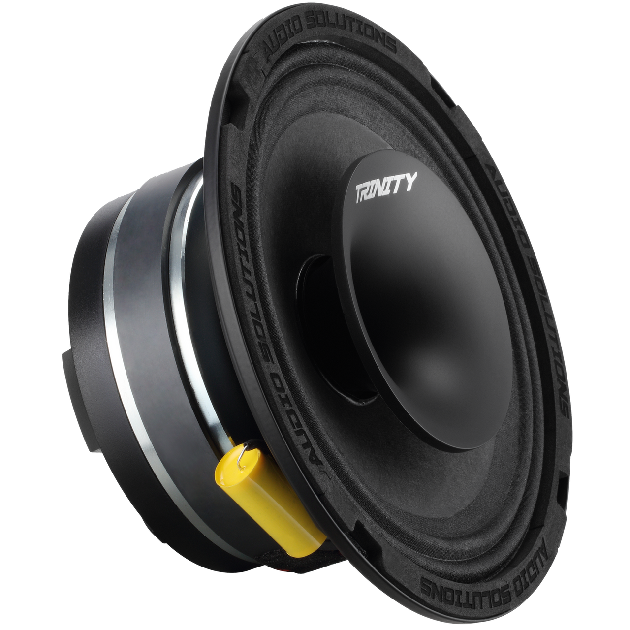 Trinity Audio CS64 Horn Driven 6.5" Pro Audio Coaxial Loudspeaker (single) Trinity Audio Solutions