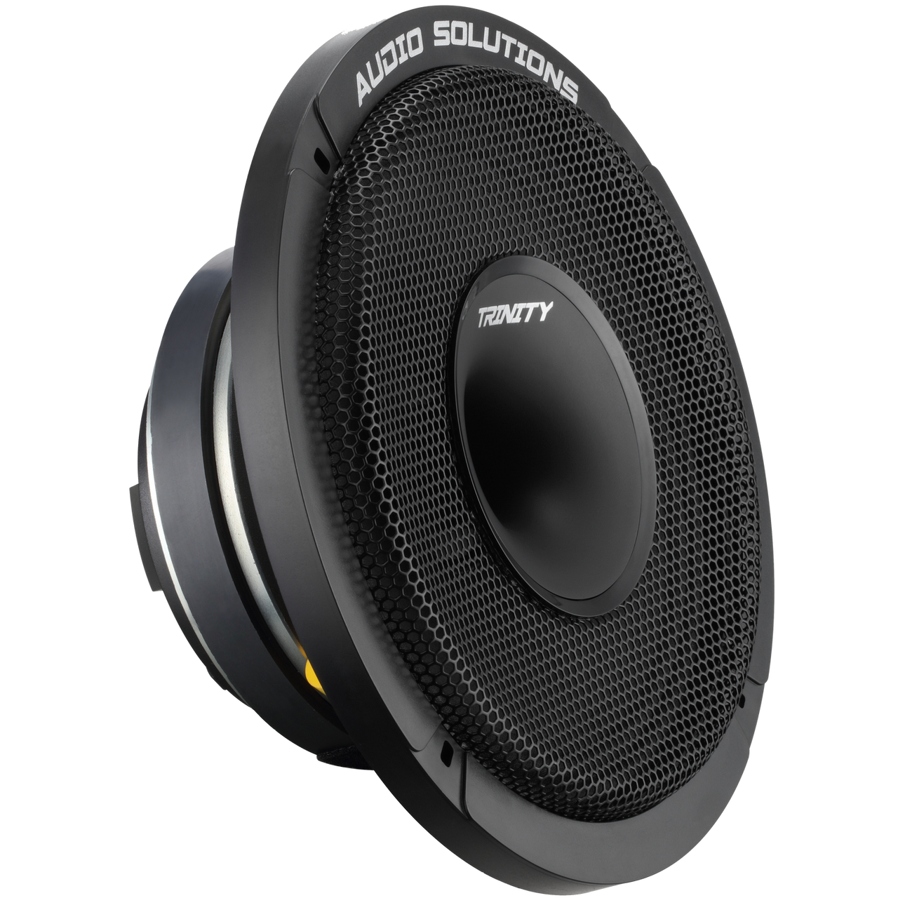 Trinity Audio CS84 Horn Driven 8" Pro Audio Coaxial Loudspeaker (single) Trinity Audio Solutions