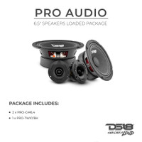 DS18 - PRO-GM6.4PK Loudspeakers &Tweeters Package: Pair PRO-GM6.4 & Pair of PRO-TW1X/BK