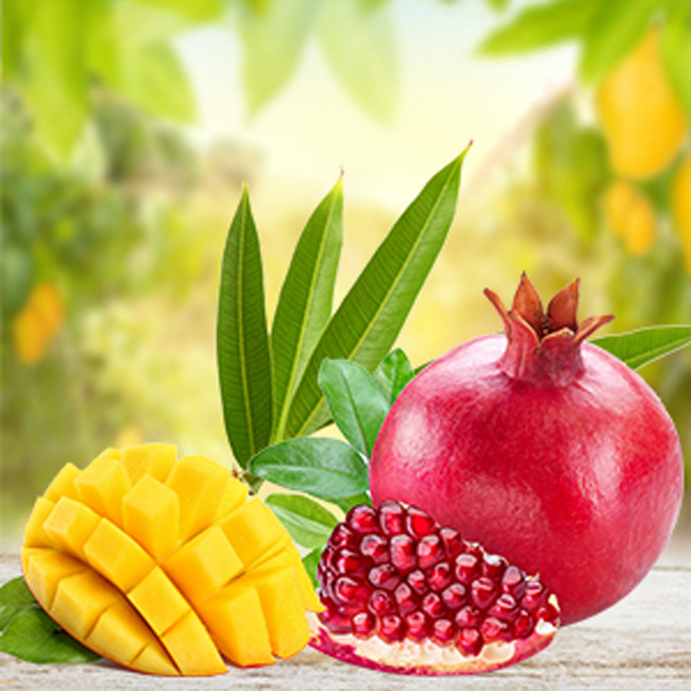 Mango Oasis Fragrance Oil Nature's Garden Candles