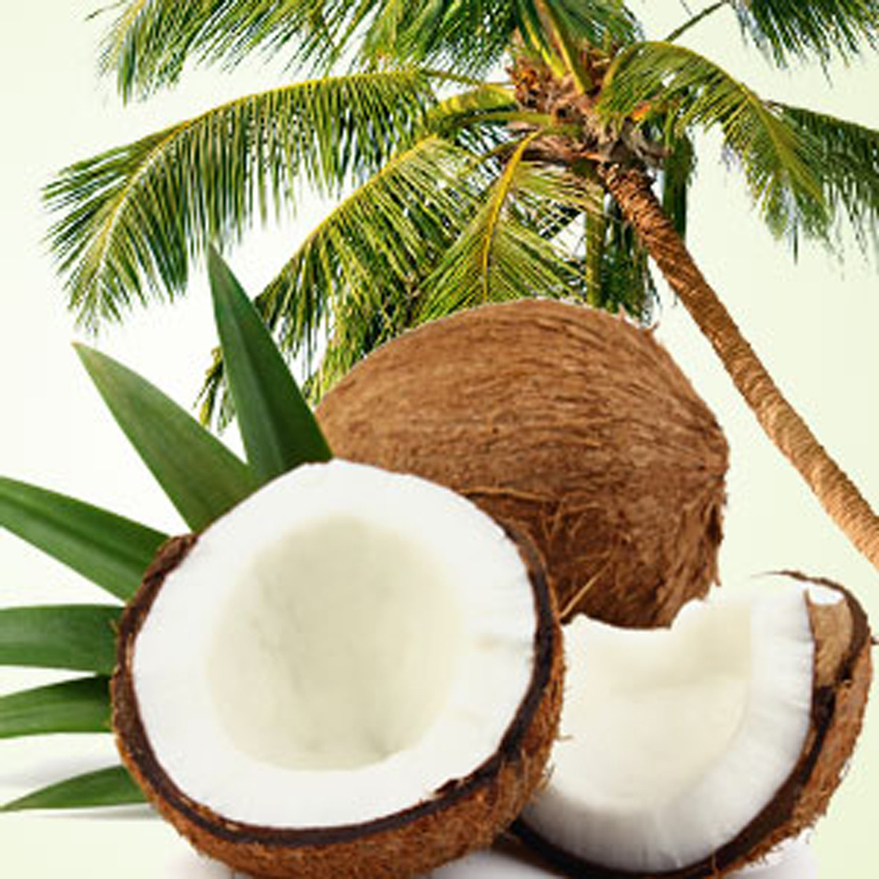 Coconut + White Amber Fragrance Oil for Candle and Soap Making