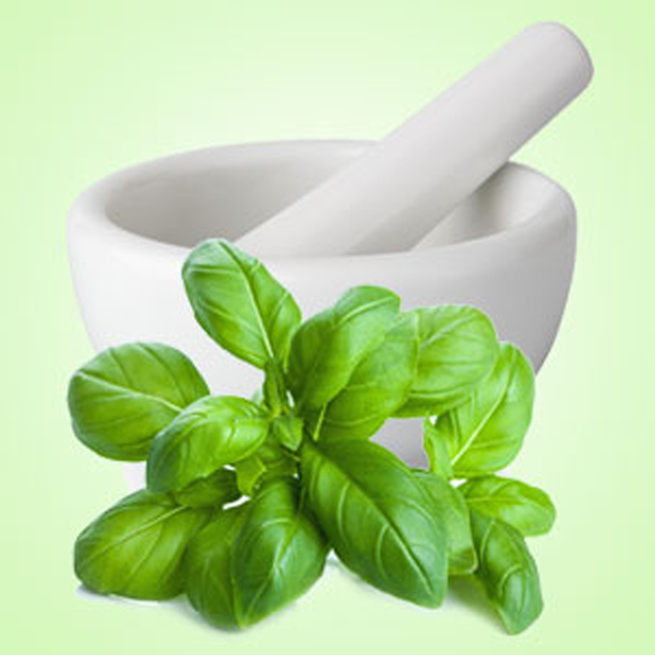 Fresh Basil Fragrance Oil