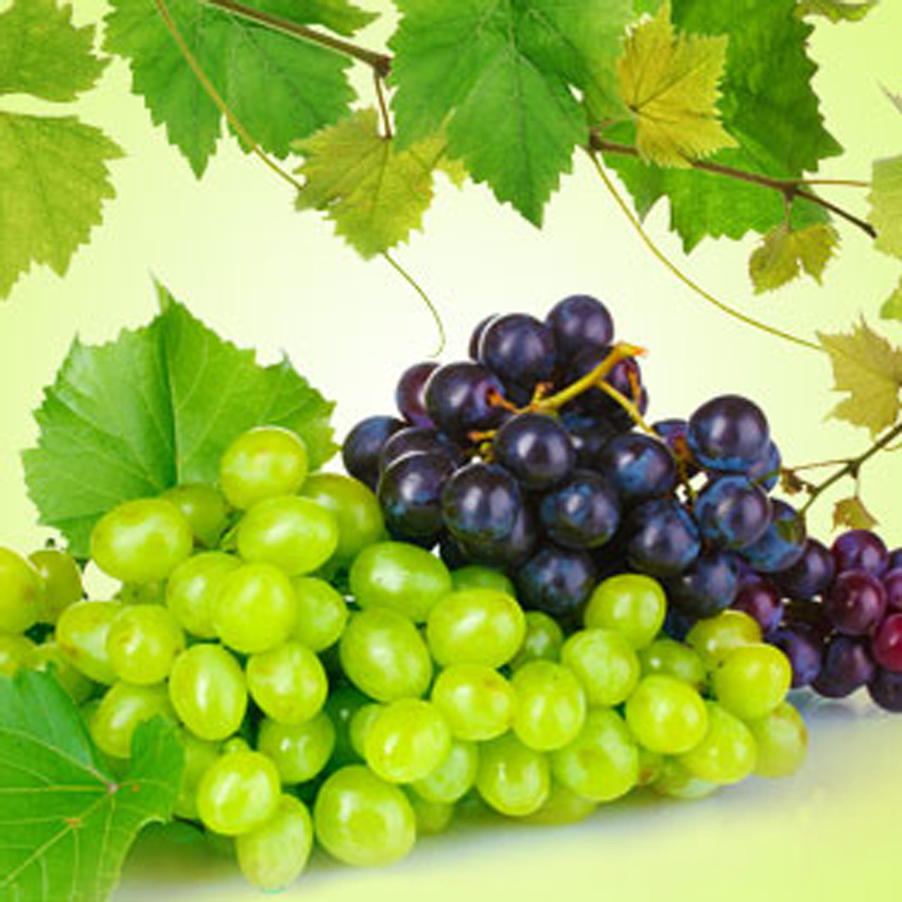 Grape Fragrance Oil