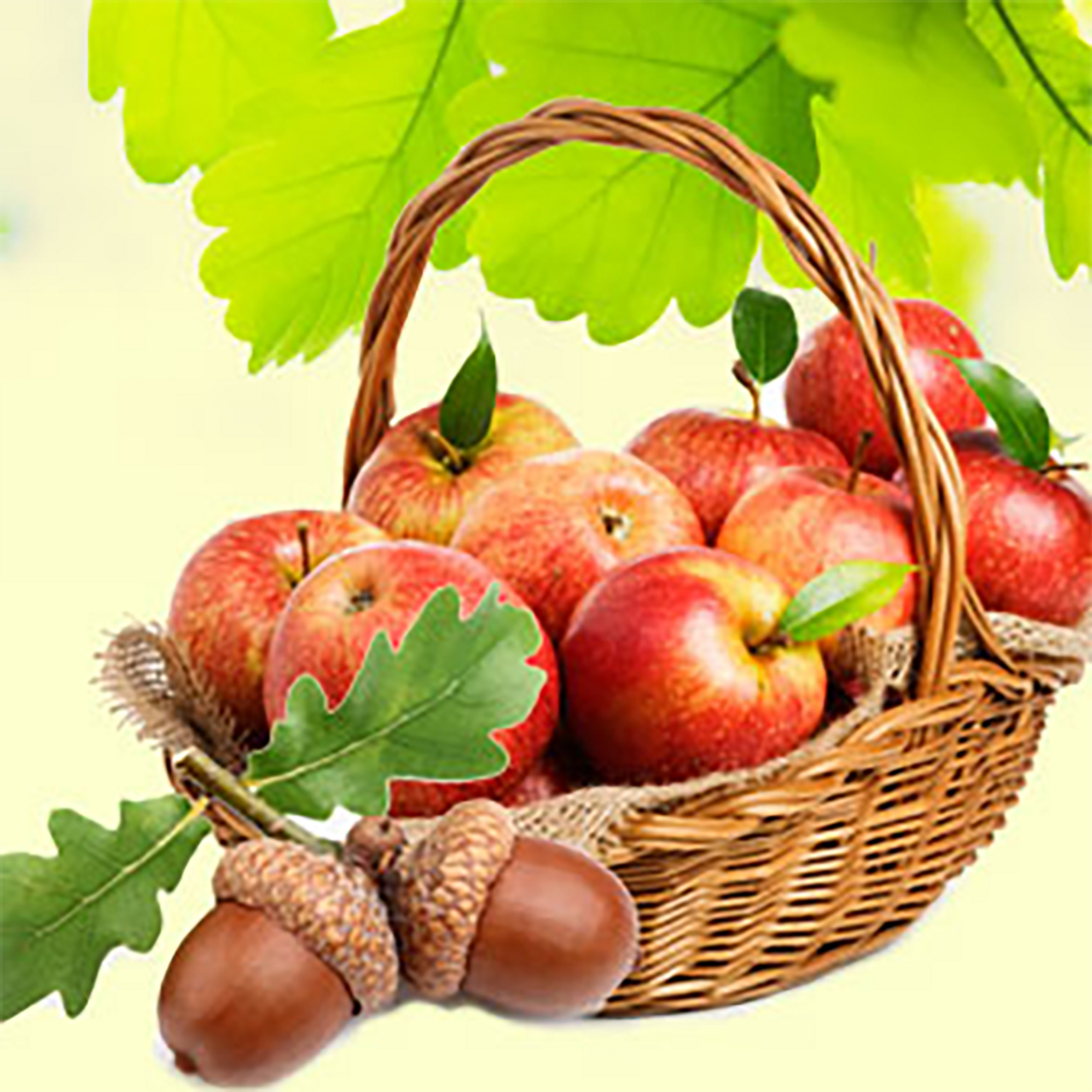 Glass Bottle Of Apple Essential Oil Near Fresh Apples On A Wooden Table.  Essential Oil Is Used To Fill Lamps, Perfumes And In Cosmetics. Close-up.  Stock Photo, Picture and Royalty Free Image.