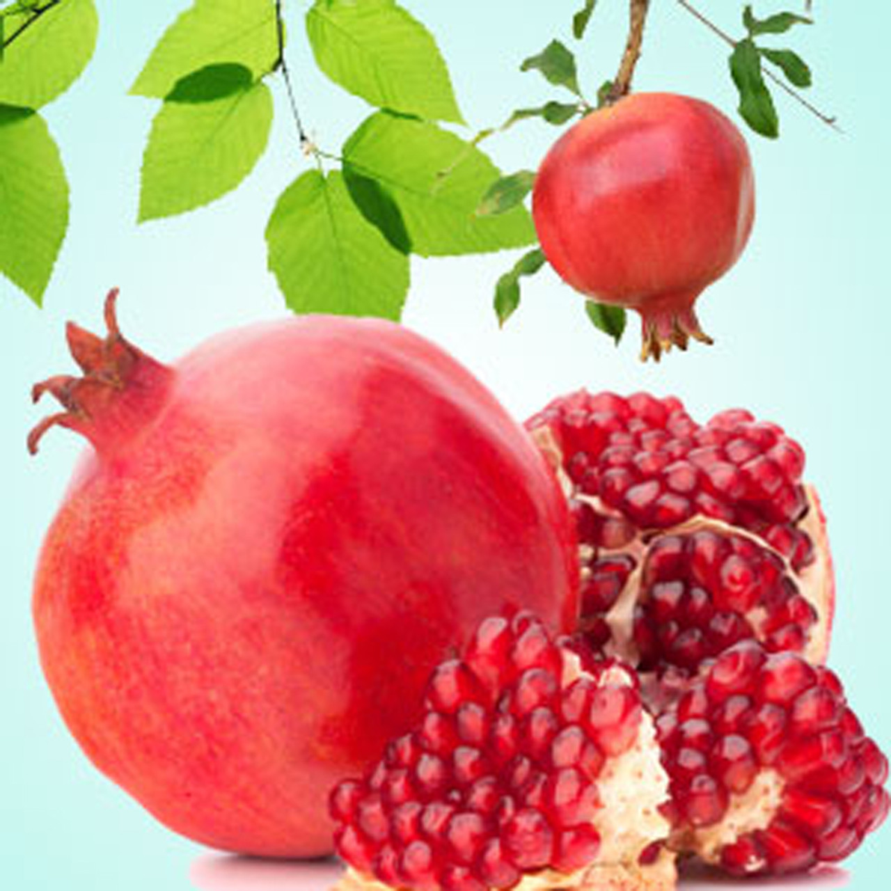 Pomegranate Fragrance Oil - Nature's Garden Candles