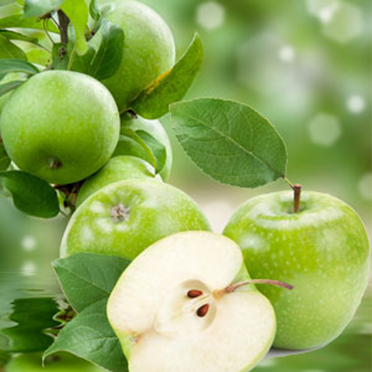 Nature's Oil Our Version of Yankee Candle Granny Smith Apple Fragrance Oil | 16 | Michaels