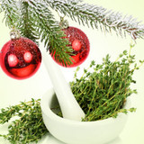 Christmas Thyme Fragrance Oil