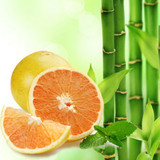 Bamboo and White Grapefruit Fragrance Oil