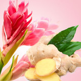 Ginger Aura Fragrance Oil