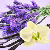 NG Vanilla Lavender Type Fragrance Oil