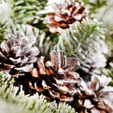Frosted Pinecones Fragrance Oil