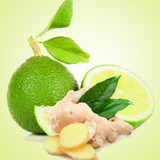 Ginger Lime Fragrance Oil