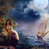Mermaids at Midnight Fragrance Oil - Image