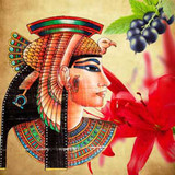 Queen of the Nile Fragrance Oil - Image