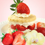 Strawberry Shortcake Fragrance Oil - Image