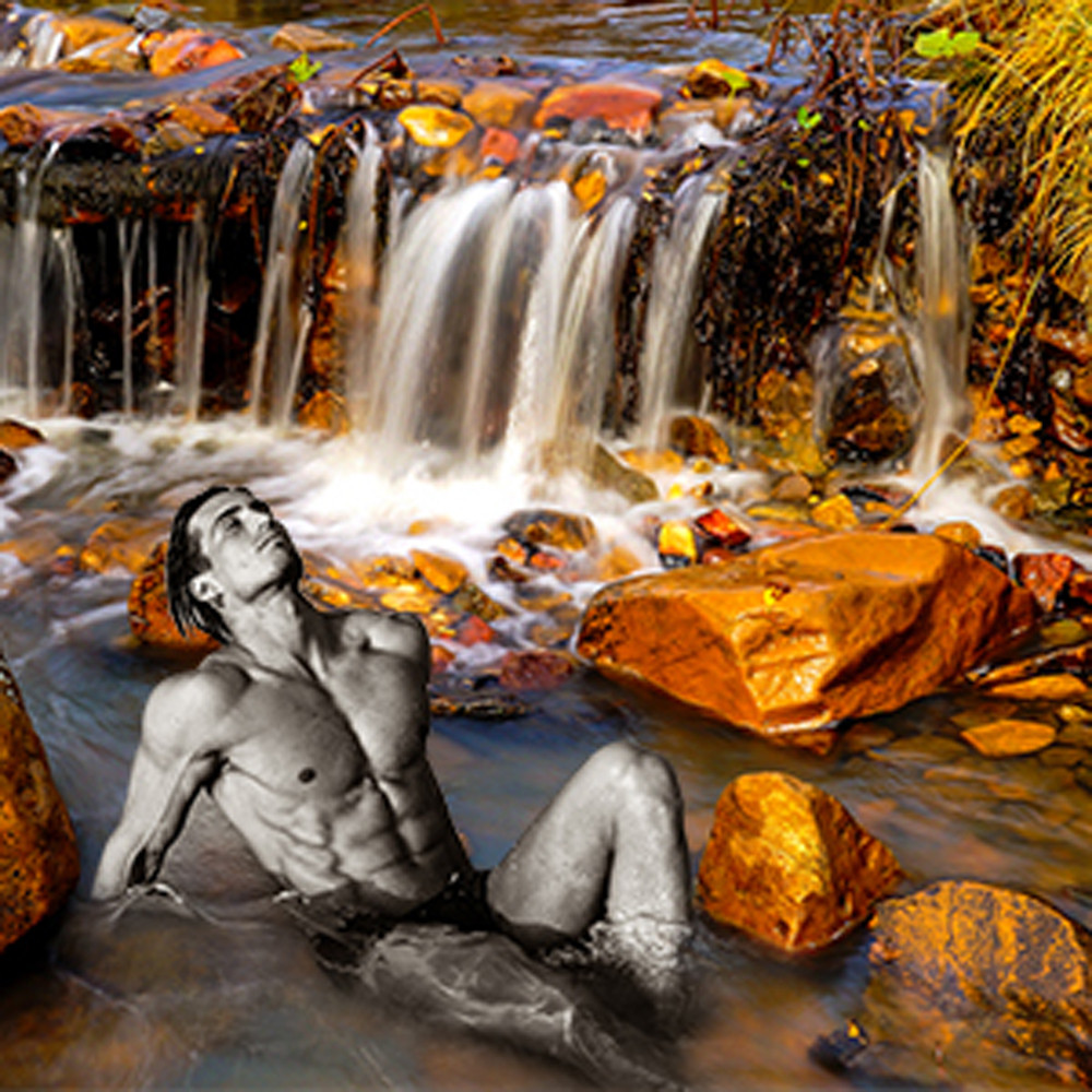 Amber Waters Fragrance Oil Nature's Garden Candles