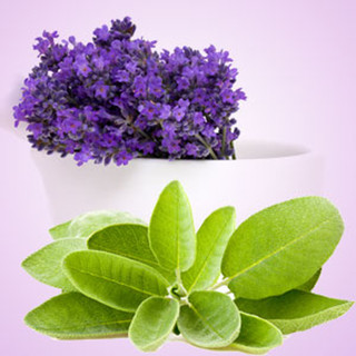 Lilac Fragrance Oil - Nature's Garden Candles