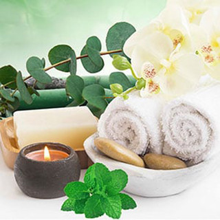 Massage Therapy Fragrance Oil Deep South Fragrance Spa Scents Candle Making  Supplies Soap Making Supplies 