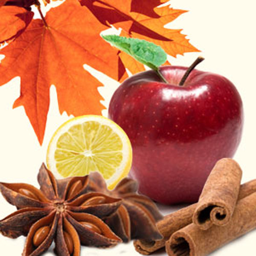 Autumn Magic Fragrance Oil