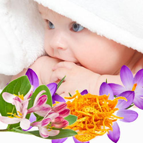 Baby Clean Fragrance Oil