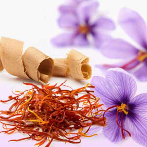 Saffron & Cedar Fragrance Oil