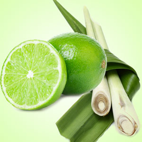 Lime Citronella Fragrance Oil - Image