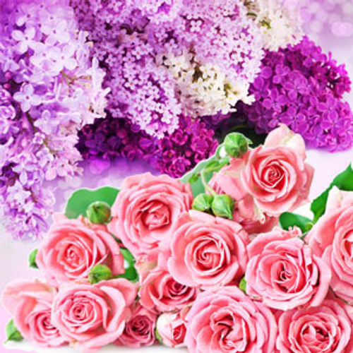 NG Rose & Violet Type Fragrance Oil