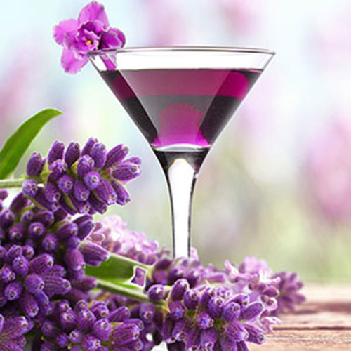 Lavender Martini Fragrance Oil - Image