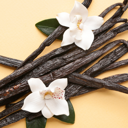 Buy Bulk Tahitian Vanilla Fragrance Oil