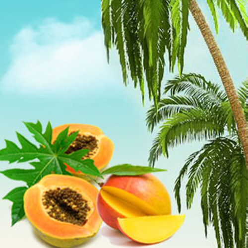 Papaya Guava Mango Fragrance Oil - Image