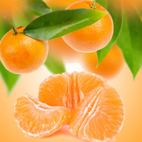 Tangerine Dreams Fragrance Oil - Image