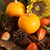 Harvest Type Fragrance Oil