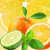 NG Cool Citrus & Basil Type Fragrance Oil