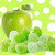 Apple Happy Camper Candy Fragrance Oil