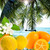 Palm Island Fragrance Oil - Image
